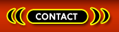 20 Something Phone Sex Contact Tampa